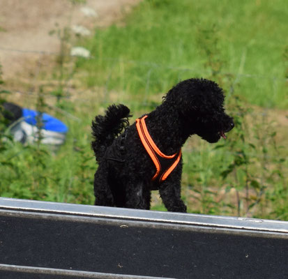 Mach i das guet eso?