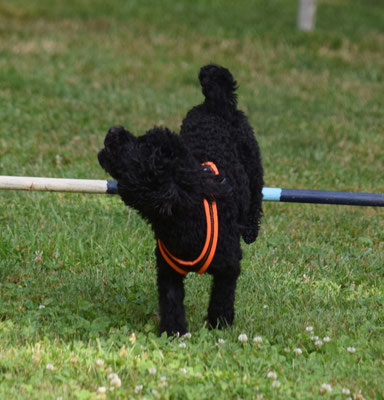 Han is richtig gmacht?