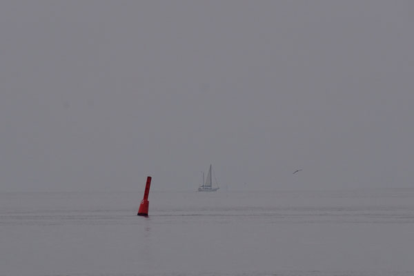 Boje©Gudrun Moritz