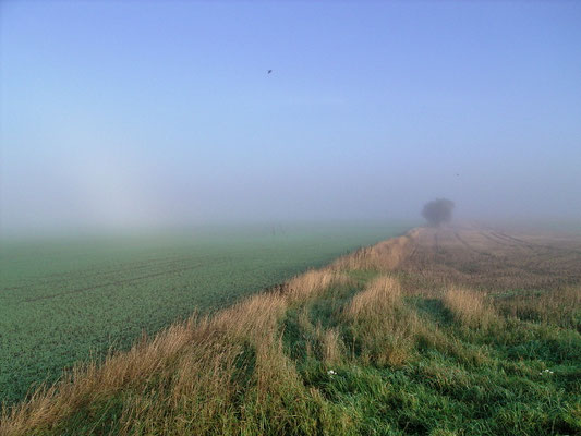 Morgennebel im Oktober 