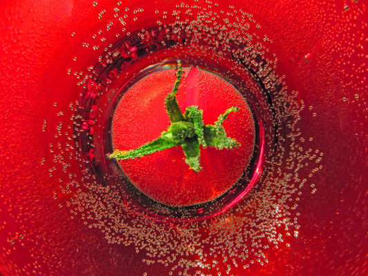 2021 Mai "Tomate im Glas"©Kurt Edler