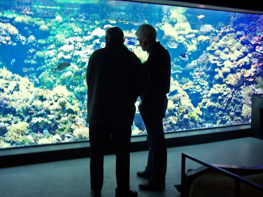 Aquarium©Erik Primbsch