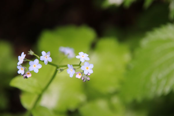 Download Wahre farben vero beach For Android Free