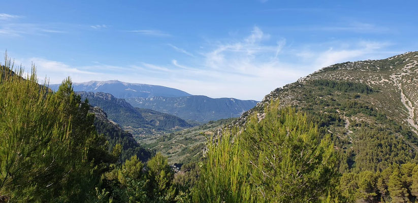 Camping La Vallée Bleue — photo 8
