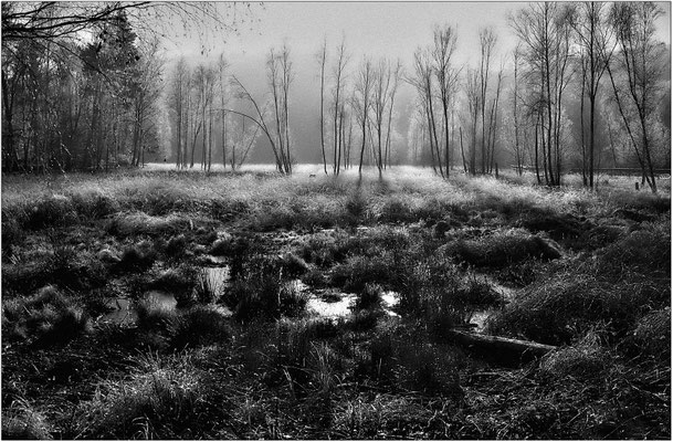 Peter Heibel