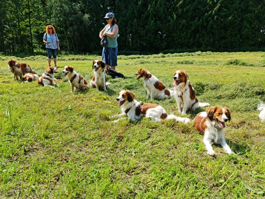 V.l.n.r. Leni, Lotta, Lunis, Luna, Arti, Alex, Amelie, Gusti, Sally