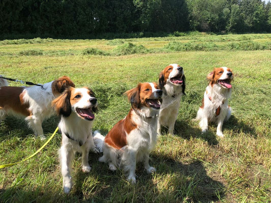 V.l.n.r. Alex, Amelie, Sally, Flash, Gusti