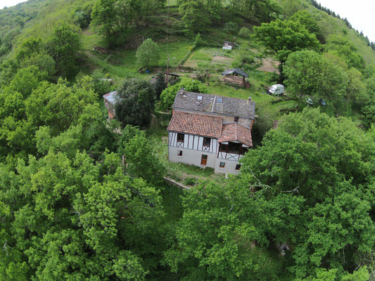 Le Bosc