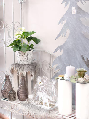 Advents- und Weihnachtsfloristik