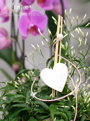 Valentinstag