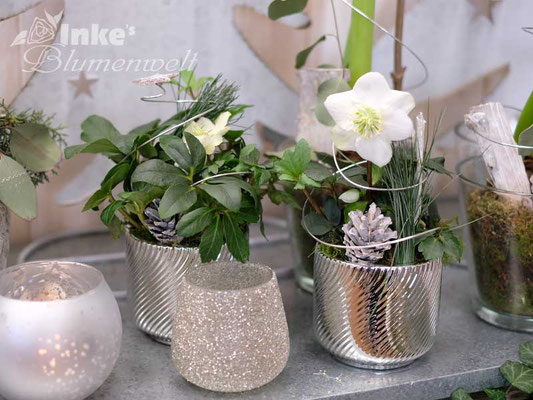 Advents- und Weihnachtsfloristik