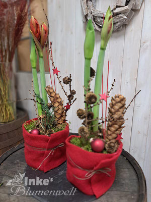 Advents- und Weihnachtsfloristik