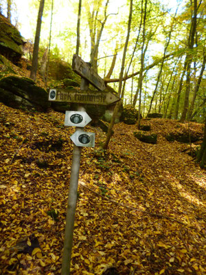 Der Jean-Paul-Weg führt durch das Salamandertal bei Eckersdorf