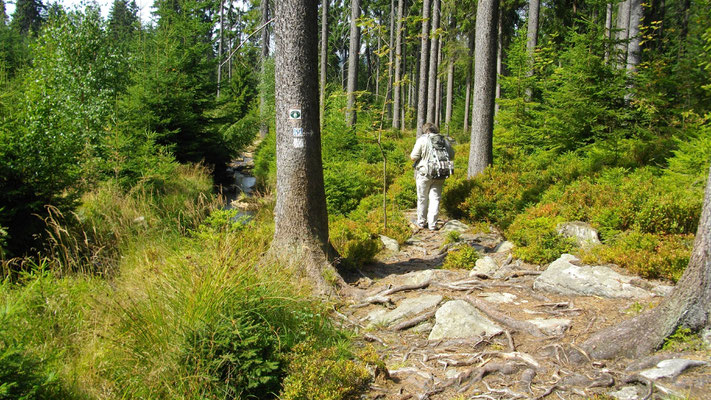 Märchenhafter Weg zwischen Karches und Bischofsgrün