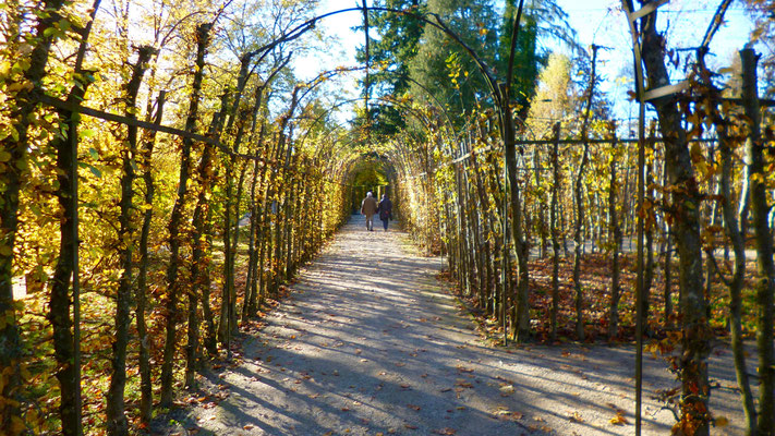 Laubengänge im Schlosspark Fantaisie