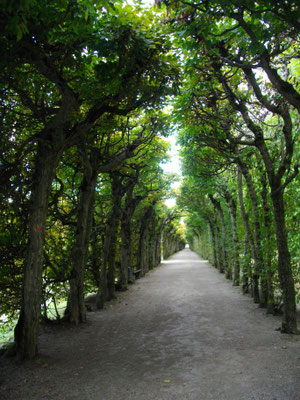 Eremitage Bayreuth – Laubengang 