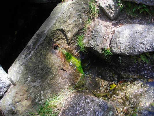 Die Fichtelnaabquelle zwischen Fichtelberg und Bischofsgrün