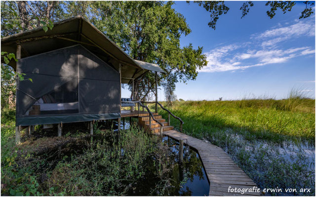 Camp Shinde Footstep, Okawango Delta