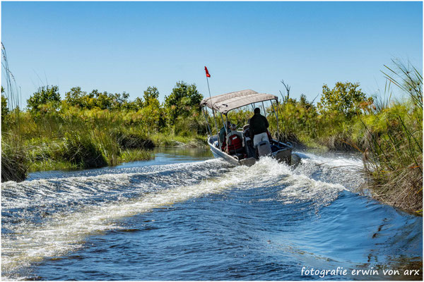 Camp Shinde Footstep, Okawango Delta