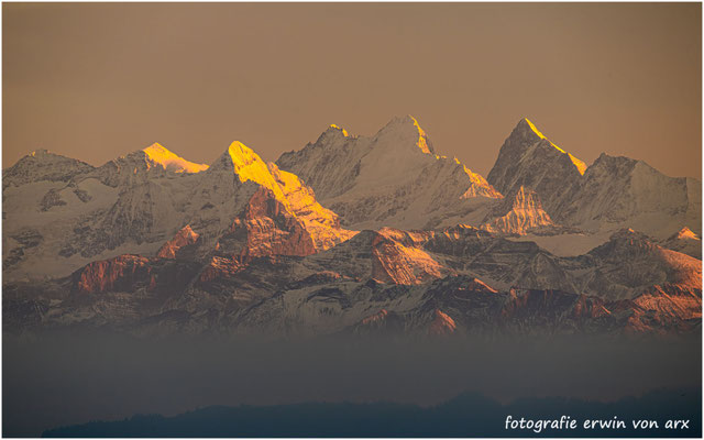 Alpenglühen Berner Alpen
