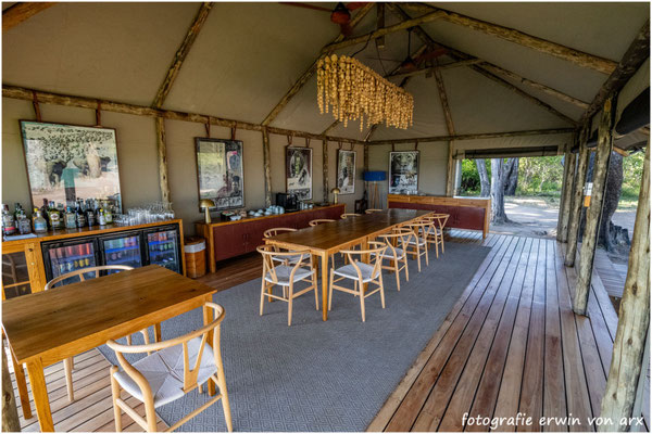 Camp Shinde Footstep, Okawango Delta