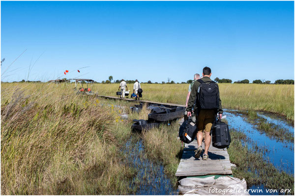 Camp Shinde Footstep, Okawango Delta