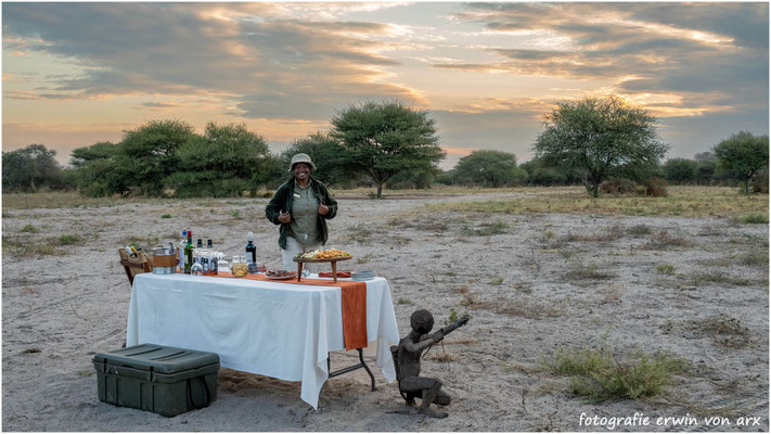 Überraschung in der Kalahari