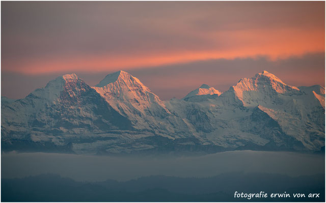 Alpenglühen Berner Alpen