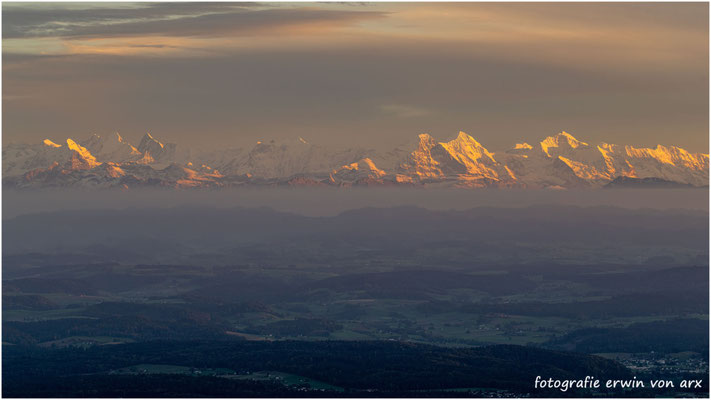 Alpenglühen Berner Alpen