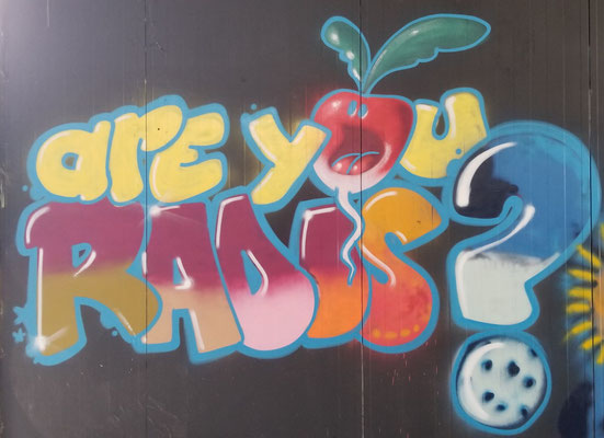 fresque "are you radis ?"