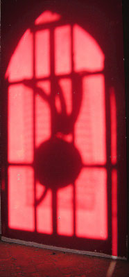 RADIHOÏDE