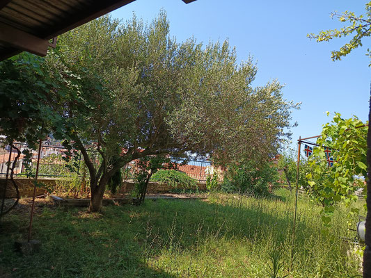 04.07.2025 Piran Garten an der St. Georgs Kathedrale