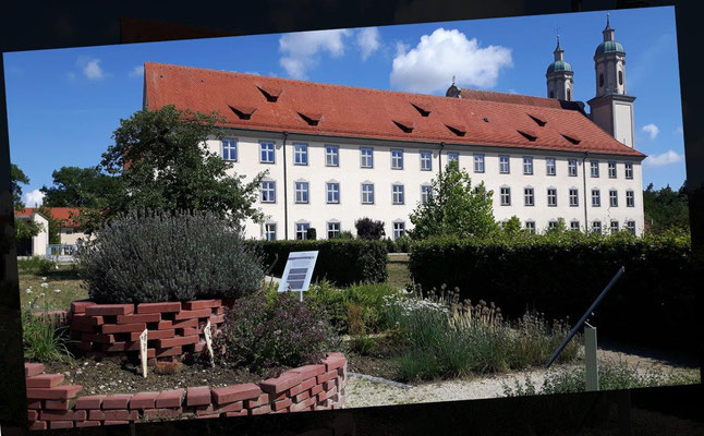 2022 08 05 Kolping Kloster Holzen und Kräuterwanderung