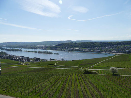 Kolping Jahresfahrt an die Mosel 16.04.2018 Rein- Blick über Rüdesheim