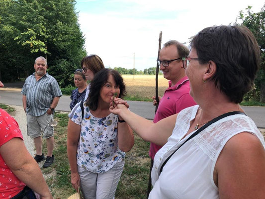 2022 08 05 Kolping Kloster Holzen auf der Kräuterwanderung. Erleben mit Riechen, Fühlen und schmecken