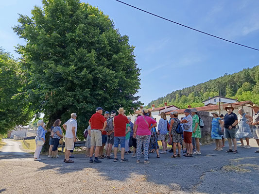 05.07.2025 Führung Quer durch Lavendelfelder 