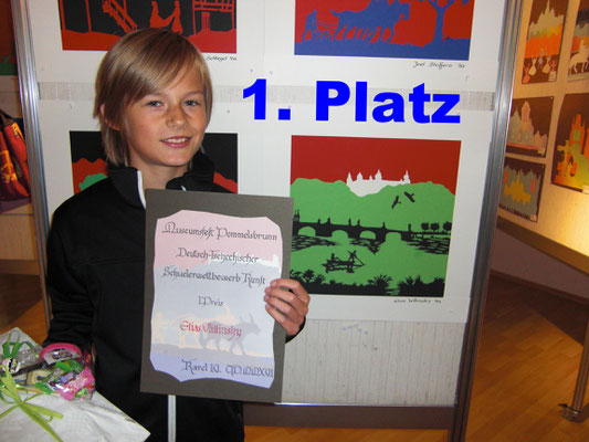 1. Platz: Elias Willinsky