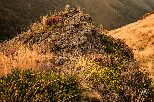 OKABE / ERROZATE - PAYS BASQUE - BASSE NAVARRE   Du sommet d'Okabe balisé par les nombreux cromlechs, témoins de pierre de trés anciennes occupations des montagnes basques, jusqu’aux arrêtes accidentées du col d’Errrozate, là où les vautours dominent et v