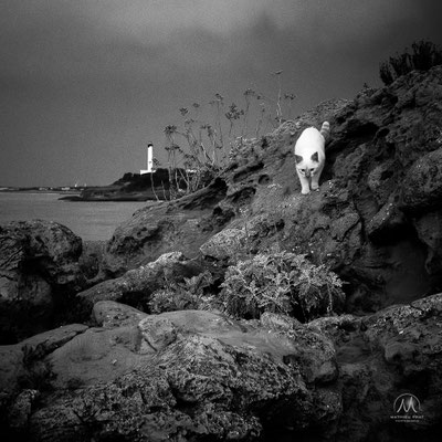 SOLITUDES MARITIMES Côte Basque et Sud Landes  Âmes vagabondes solitaires, contemplateurs d’éléments à l’oeil nu, ou armés d’appareils photographiques. Simples promeneurs, ou aventuriers discrets en pleine apnées interrogatives secrètes, animée d’obscures