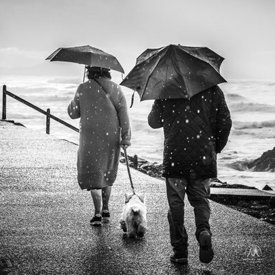 TEMPÊTES HIVERNALES À BIARRITZ   Instantanées de la justement baptisée tempête « Hercule » en 2014 aux dernières grosses dépressions hivernales gonflées sur l’océan Atlantique, qui déferlent sur la côte basque, ici à Biarritz.  Coups de tabac copieusement