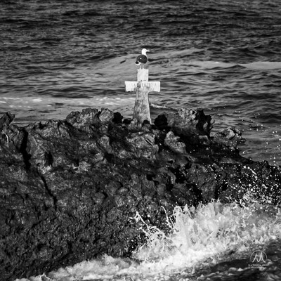 TEMPÊTES HIVERNALES À BIARRITZ   Instantanées de la justement baptisée tempête « Hercule » en 2014 aux dernières grosses dépressions hivernales gonflées sur l’océan Atlantique, qui déferlent sur la côte basque, ici à Biarritz.  Coups de tabac copieusement