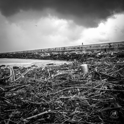 SOLITUDES MARITIMES Côte Basque et Sud Landes  Âmes vagabondes solitaires, contemplateurs d’éléments à l’oeil nu, ou armés d’appareils photographiques. Simples promeneurs, ou aventuriers discrets en pleine apnées interrogatives secrètes, animée d’obscures