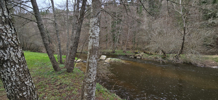 Loi sur l'eau