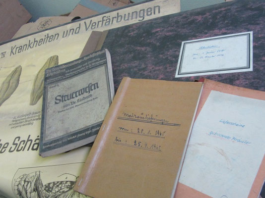 Fotos: Kreisarchiv SLK