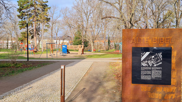 Stadtpark - auch hier kommt ein Trinkbrunnen hin