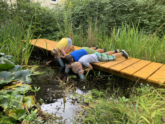 ÖS Neugattersleben: Die Grundschüler erkunden den Teich mit einem Unterwasser-Sehrohr. Posthornschnecken, Spitzschlammschnecken, Rückenschwimmer und Eintagsfliegenlarven gibt es zu entdecken. 