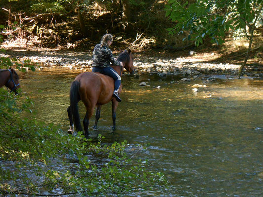 Accueil cavaliers et chevaux, Moulin du Bateau.