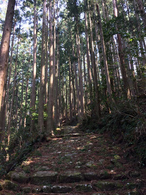 熊野古道