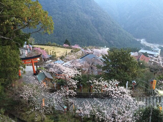 熊野那智大社