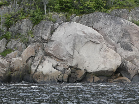 La silhouette du ''Labrador'', chien en pierre.